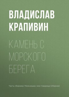 Владислав Крапивин - Камень с морского берега