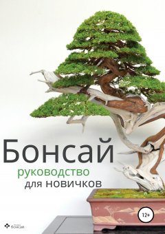 Империя бонсай - Бонсай – руководство для начинающих