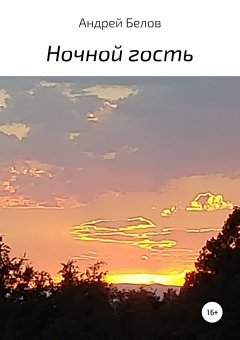 Андрей Белов - Ночной гость
