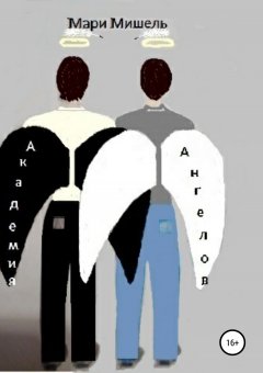 Мари Мишель - Академия ангелов