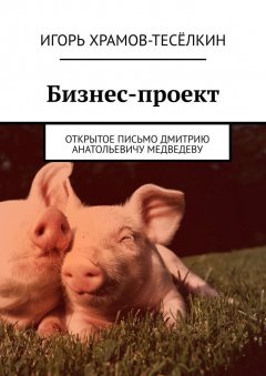 Игорь Храмов-Тесёлкин - Бизнес-проект. Открытое письмо Дмитрию Анатольевичу Медведеву