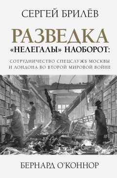 Сергей Брилев - Разведка. «Нелегалы» наоборот