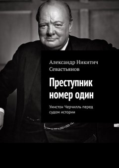 Александр Севастьянов - Преступник номер один. Уинстон Черчилль перед судом истории