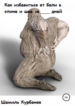 Шамиль Курбанов - Как избавиться от боли в спине и шее за ___ дней