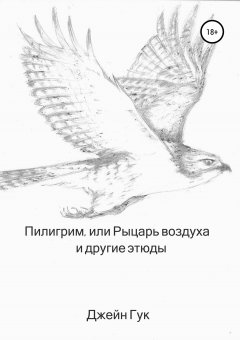 Джейн Гук - Пилигрим, или Рыцарь воздуха и другие этюды