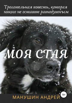 Андрей Манушин - Моя Стая