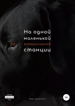 Леди Дракнесс. - На одной маленькой ветеринарной станции