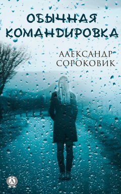 Александр Сороковик - Обычная командировка