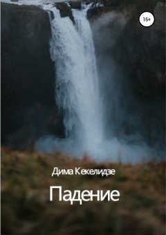 Дмитрий Кекелидзе - Падение