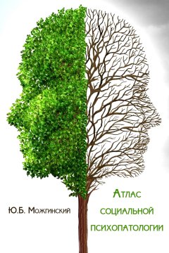 Юрий Можгинский - Атлас социальной психопатологии