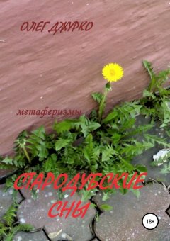 Олег Джурко - Стародубские сны