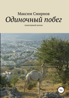 Максим Смирнов - Одиночный побег. Авантюрный роман