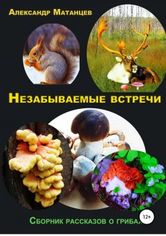 Александр Матанцев - Незабываемые встречи. Сборник рассказов о грибах