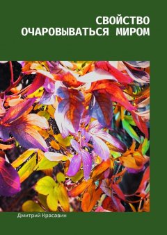 Дмитрий Красавин - Свойство очаровываться миром