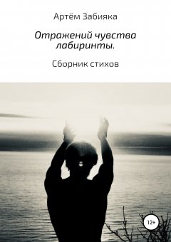 Артём Забияка - Отражений чувства лабиринты. Сборник стихов