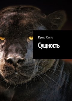Крис Соло - Сущность
