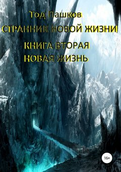 Тод Пашков - Странник новой жизни. Книга вторая. Новая жизнь