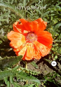 Кирилл Станишевский - Натурализм