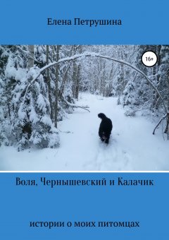 Елена Петрушина - Воля, Чернышевский и Калачик