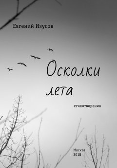 Евгений Изусов - Осколки лета