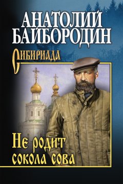 Анатолий Байбородин - Не родит сокола сова (сборник)