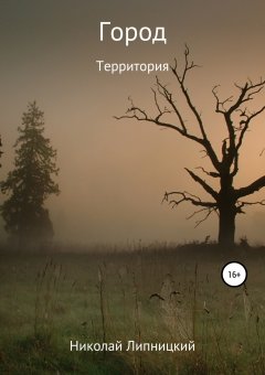 Николай Липницкий - Город. Территория