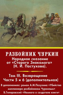 Николай Пастухов - Разбойник Чуркин. Том 3. Возвращение