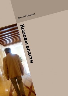 Василий Симчера - Вызовы власти. По статистике и не только