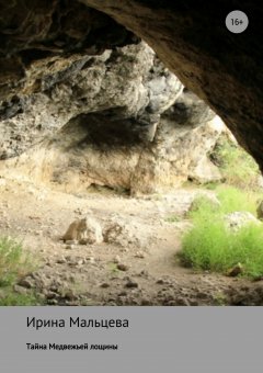 Ирина Мальцева - Тайна Медвежьей лощины