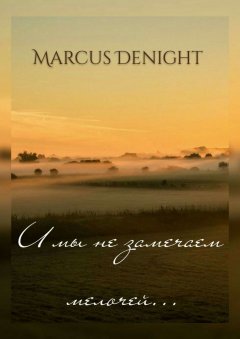Marcus Denight - И мы не замечаем мелочей…