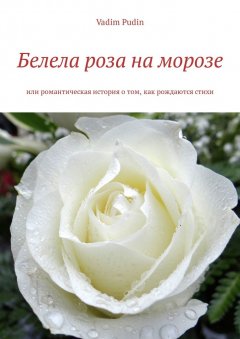 Vadim Pudin - Белела роза на морозе. Или романтическая история о том, как рождаются стихи
