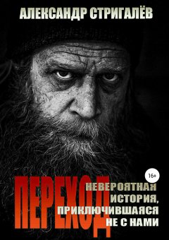 Александр Стригалёв - Переход. Невероятная история, приключившаяся не с нами