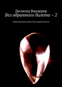 Десмонд Вандерер - Без обратного билета – 2. Захватывающая трилогия в жанре фэнтези