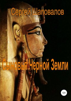 Сергей Шаповалов - Сыновья Черной Земли. Книга первая