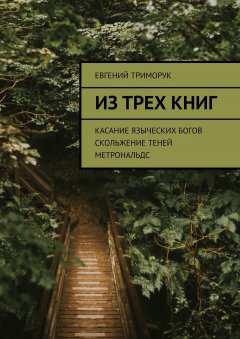 Евгений Триморук - Из трех книг. Касание языческих богов. Скольжение теней. Метрональдс