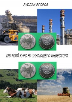 Руслан Егоров - Краткий курс начинающего инвестора