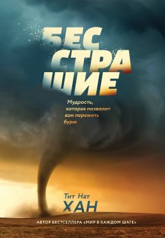 Тит Нат Хан - Бесстрашие. Мудрость, которая позволит вам пережить бурю