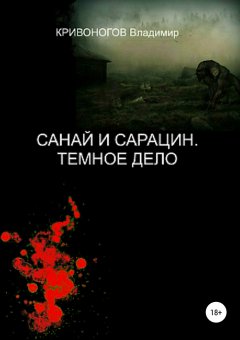 Владимир Кривоногов - Санай и Сарацин. Темное дело