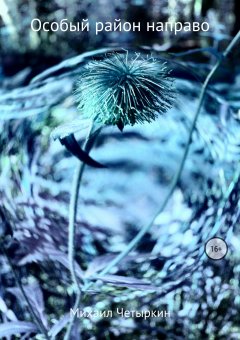 Михаил Четыркин - Особый район направо