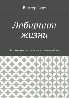 Виктор Зуду - Лабиринт жизни