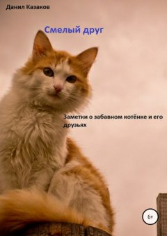 Данил Казаков - Смелый друг