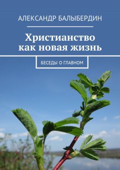 Александр Балыбердин - Христианство как новая жизнь. Беседы о главном