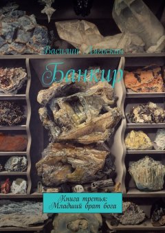 Василий Лягоскин - Банкир. Книга третья: Младший брат бога
