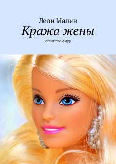 Леон Малин - Кража жены. Агентство Амур