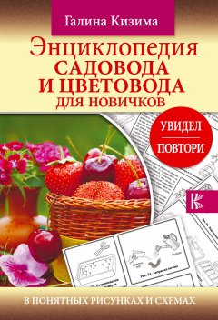 Галина Кизима - Энциклопедия садовода и цветовода для новичков в понятных рисунках и схемах. Увидел – повтори