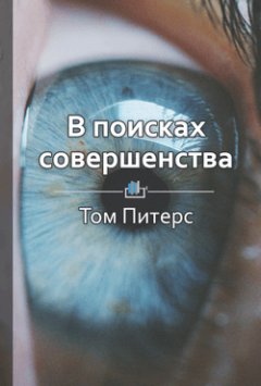 Библиотека КнигиКратко - Краткое содержание «В поисках совершенства»
