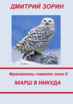 Дмитрий Зорин - Марш в никуда. Фрагменты памяти. Том II