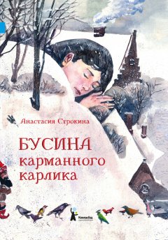 Анастасия Строкина - Бусина карманного карлика