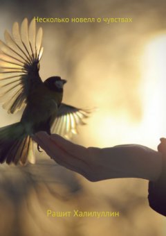 Рашит Халилуллин - Несколько новелл о чувствах