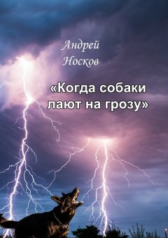 Андрей Носков - Когда собаки лают на грозу. Тонкие детали должны быть замечены
